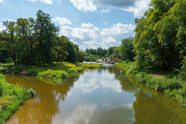 Come posso affrontare la questione della perdita di memoria con gli anziani?